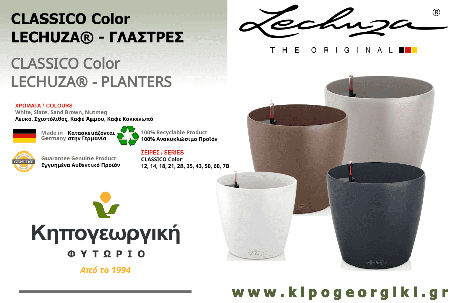 CLASSICO Color Αυτοποτιζόμενες Γλάστρες & Κασπώ